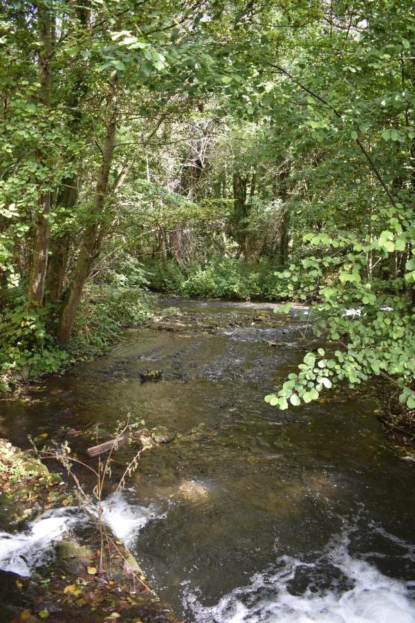 Le Moulin,19 Bis Rue De Beaudon, 45330 Augerville La Riviere Trezan Esterno foto